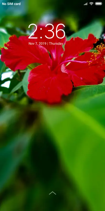 Red Flower_DWM3 - Screenshot 1