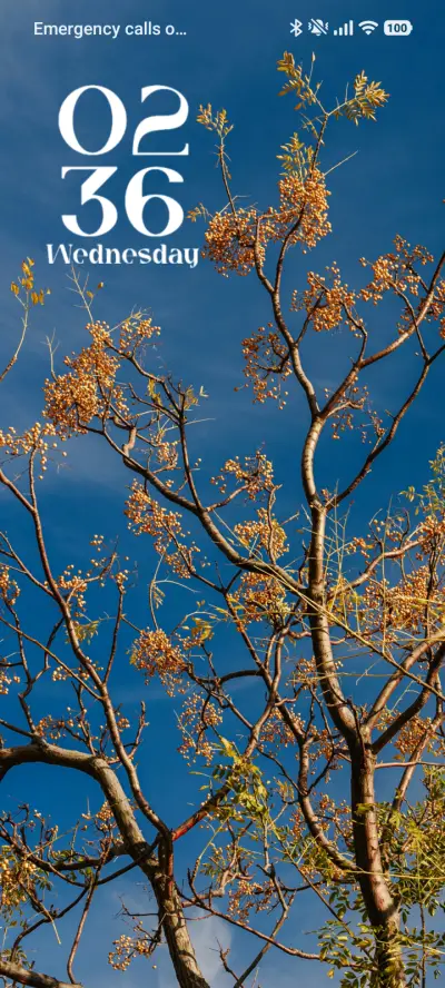 Bare Beauty - Screenshot 1