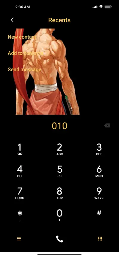 P-Samurai v12.5 - Screenshot 6