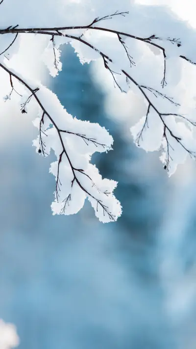 The coldest world has the most warmth