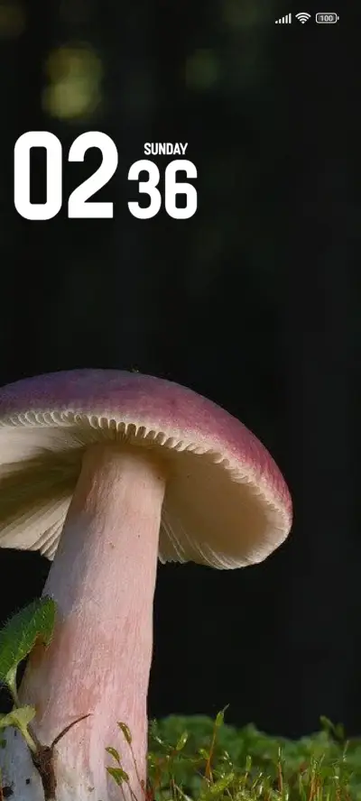 Mushroom