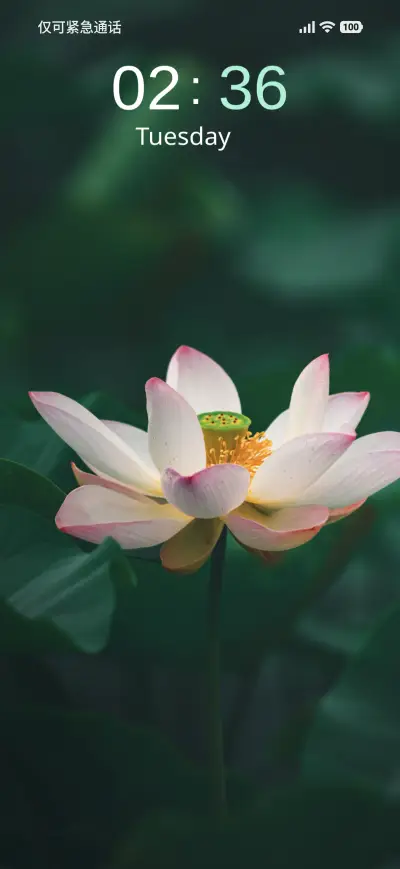 Lotus Bloom - Screenshot 1