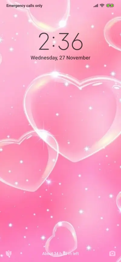 PL_DWM19 - Screenshot 1