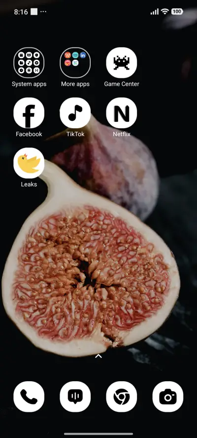 Fig Delight - Screenshot 3