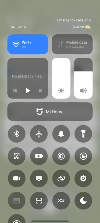 Cats midsummer - Screenshot 5