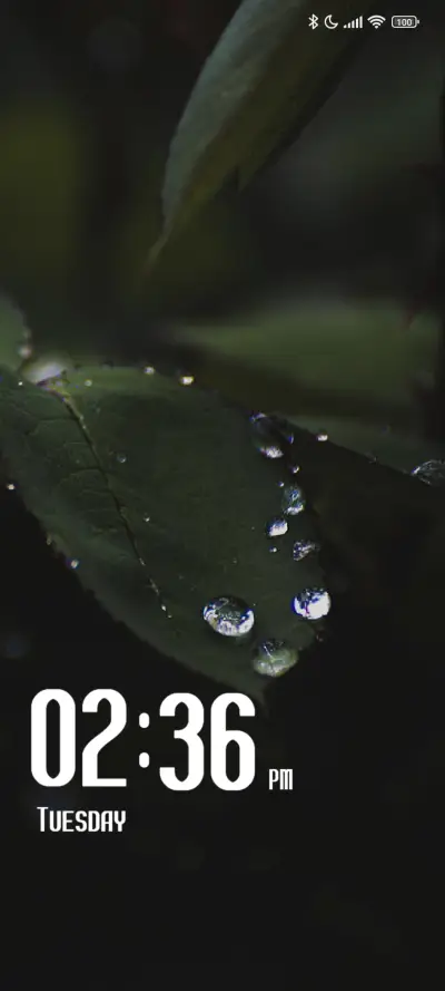 Leaf Drops - Screenshot 1