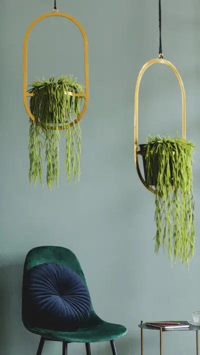 How to store the wall 36