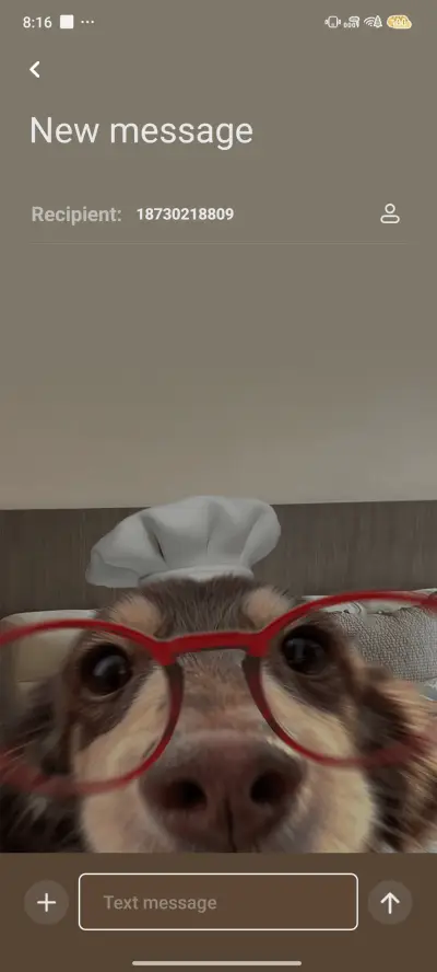 Cute sausage puppy - Screenshot 8
