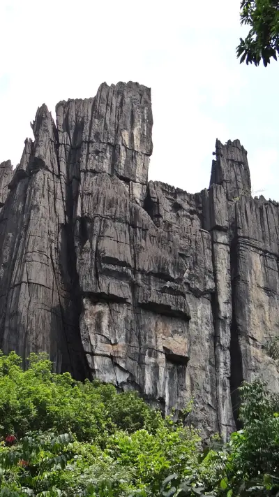 Kannada Rajyotsava - Screenshot 1