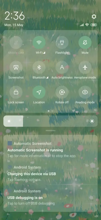 Cure scarecrow - Screenshot 6