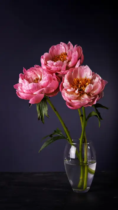 Tips for Watering in Autumn 9 - Screenshot 1