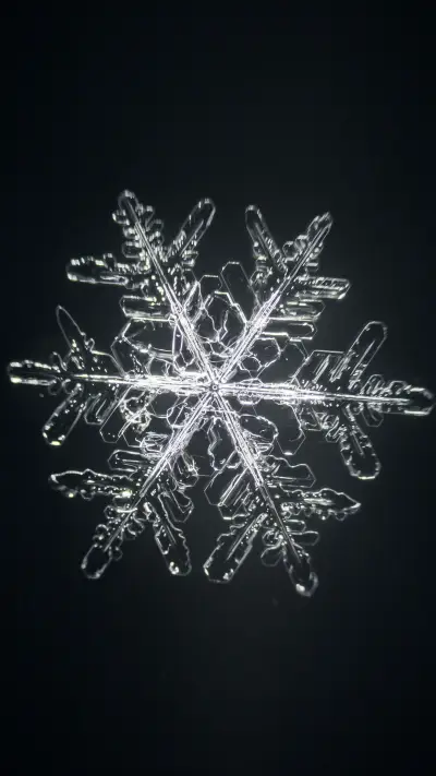 International-crystal - Screenshot 1