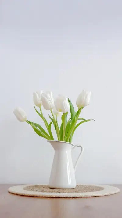 Beautiful bouquet of white tulips in white vase - Screenshot 1