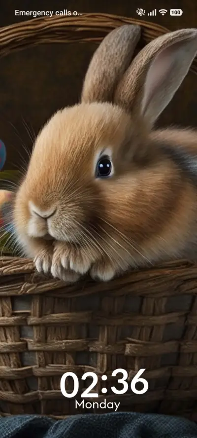 Super Bear - Screenshot 1