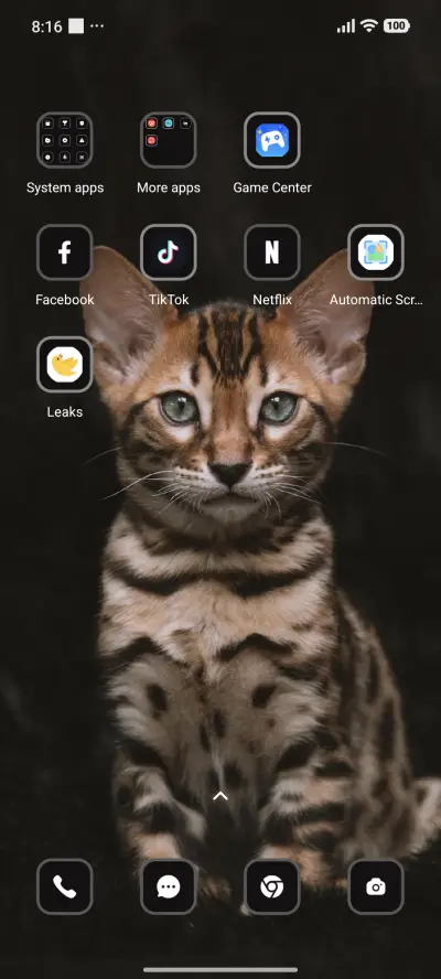 Black Cat - Screenshot 3