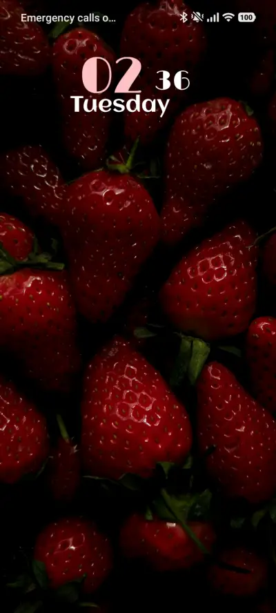 Berry Bloom - Screenshot 1