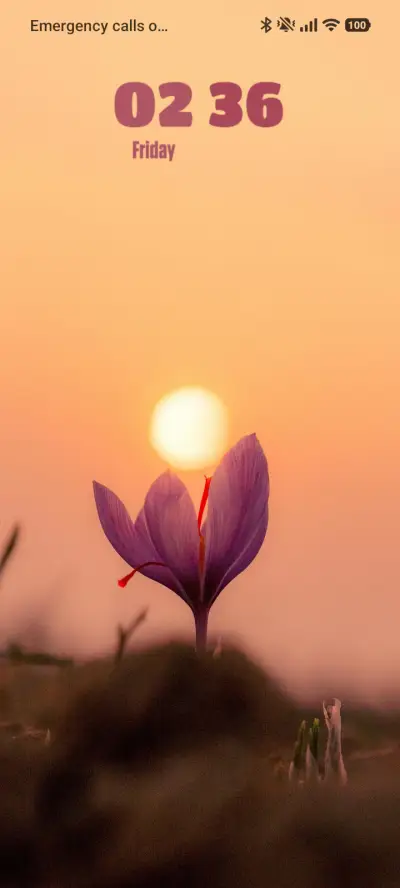 Evening - Screenshot 1