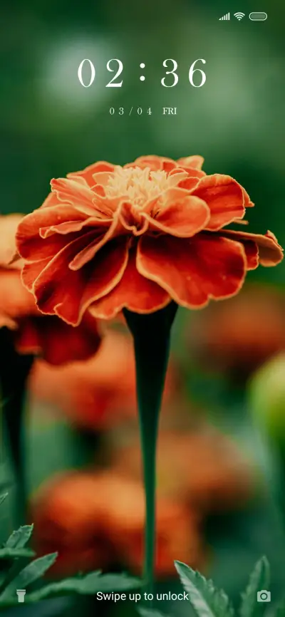 Red Flower_3MDS - Screenshot 1