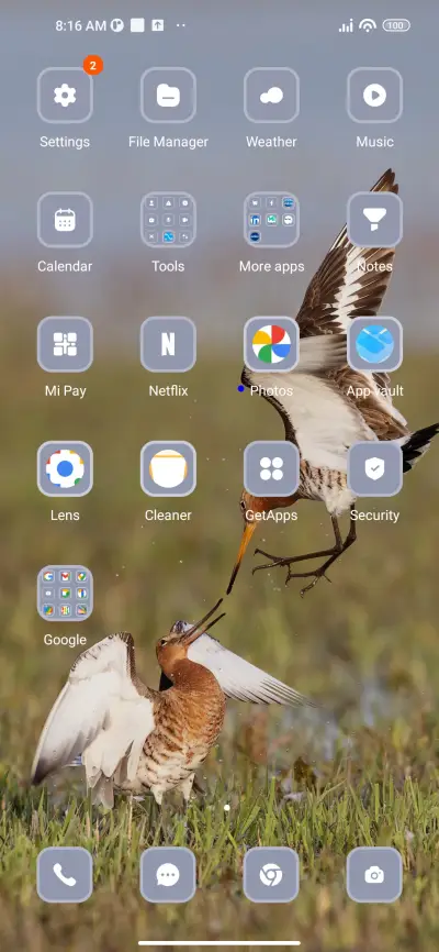 Birds - Screenshot 3