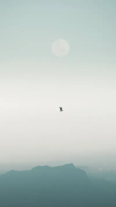 Minimalist natural beauty