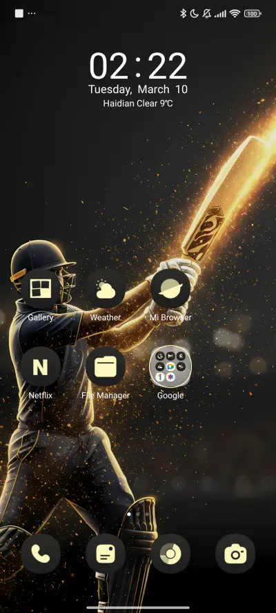 Dream Cricket - Screenshot 2