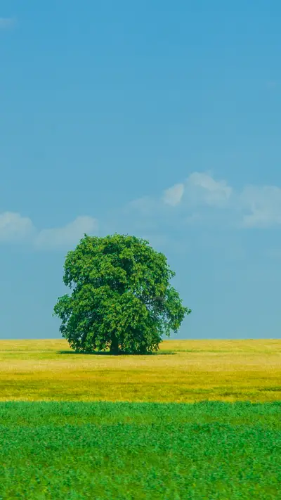 Eye protection and fresh grass