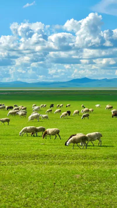 Inner Mongolia grassland scenery - Screenshot 1