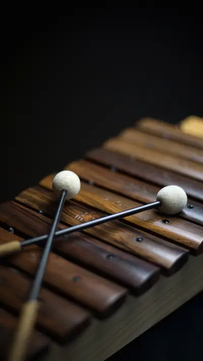 india-xylophone - Screenshot 1