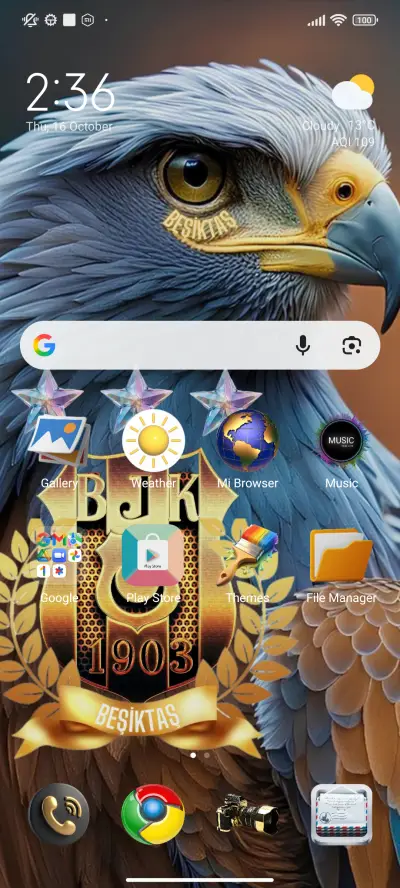 BJK Besiktas 1903 - Screenshot 2