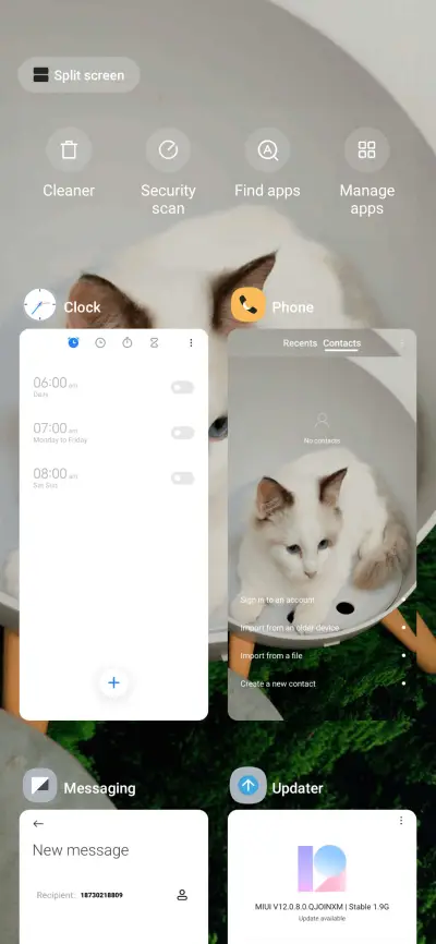 Lazy Cat - Screenshot 4