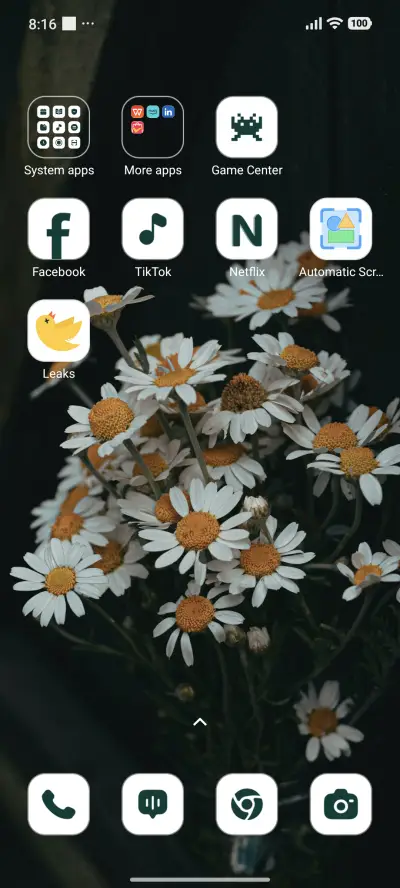 Spring Vases - Screenshot 3