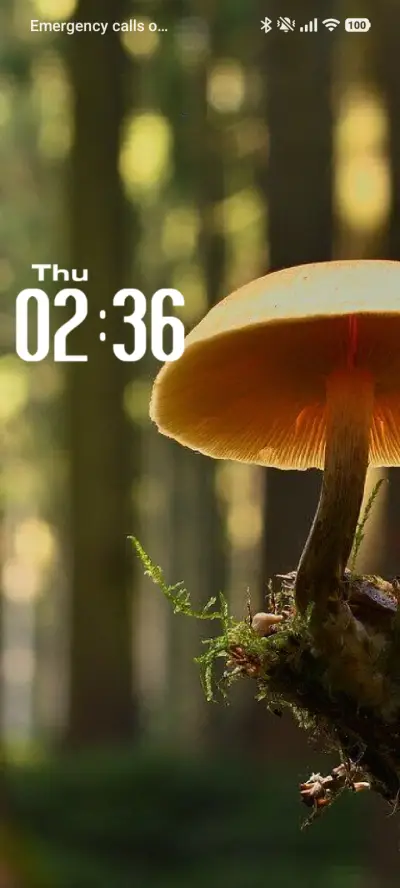 Mushroom THEME for Xiaomi MIUI HyperOS