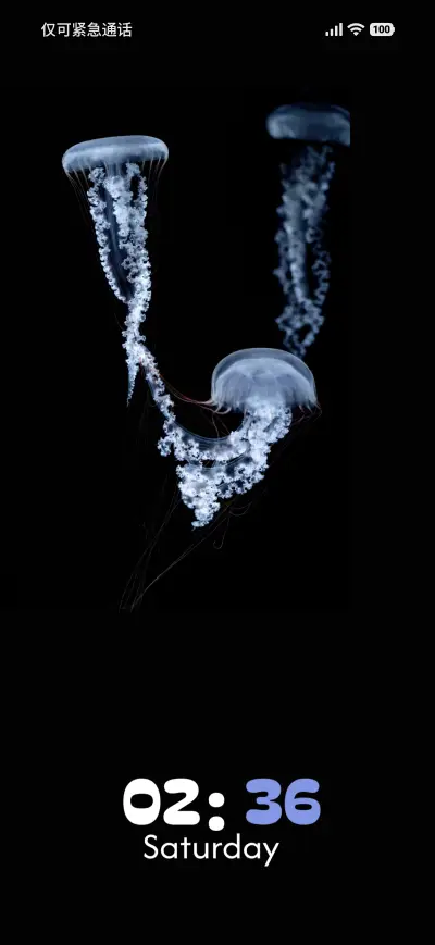 Haunted white - Screenshot 1