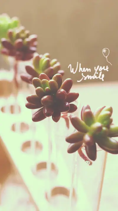 静物花卉 (28) - Screenshot 1