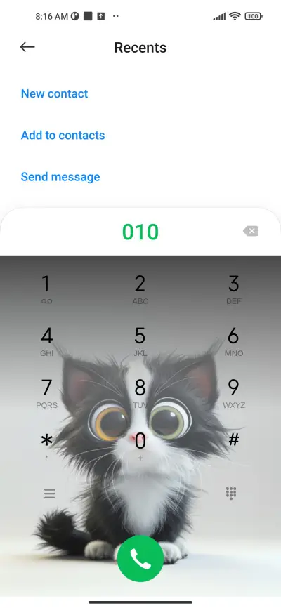 fluffy cat - Screenshot 4