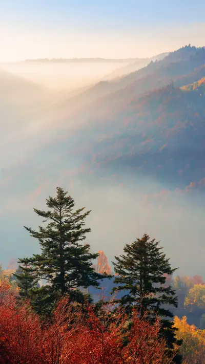 nature-10 - Screenshot 1