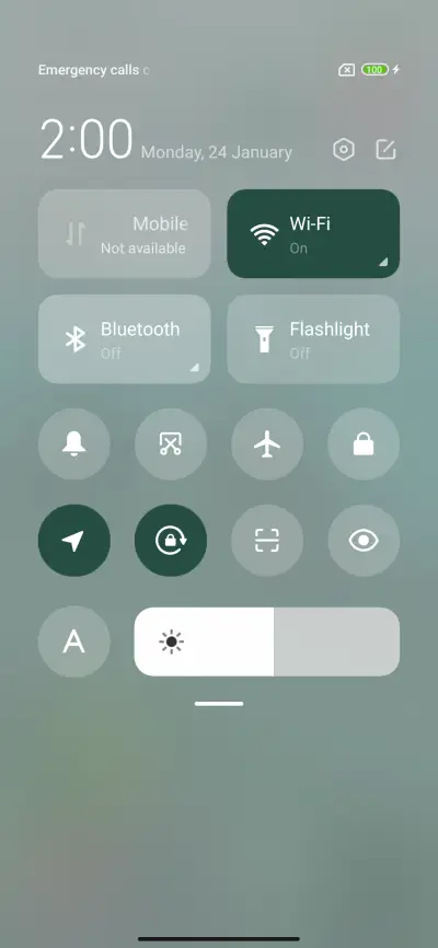 The Great Wall - Screenshot 4