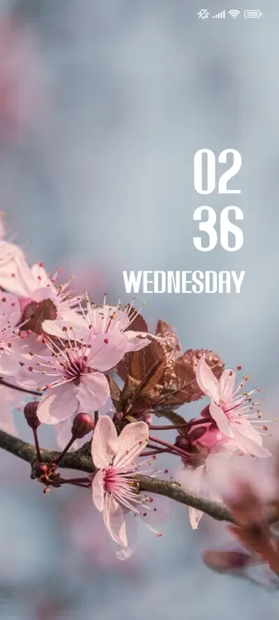 Cherry THEME for Xiaomi MIUI HyperOS