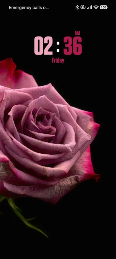 Closeup Rose - Screenshot 1