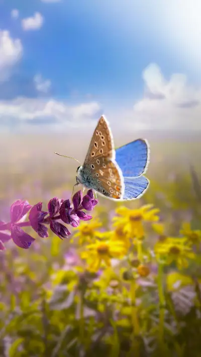 international_animal (6)