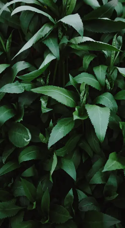 Newly Selected (25) - Screenshot 1