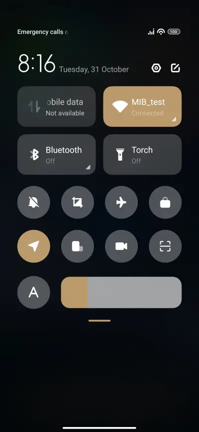 Leidolf - Screenshot 5