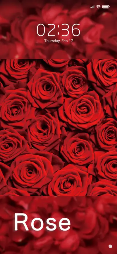 Love roses