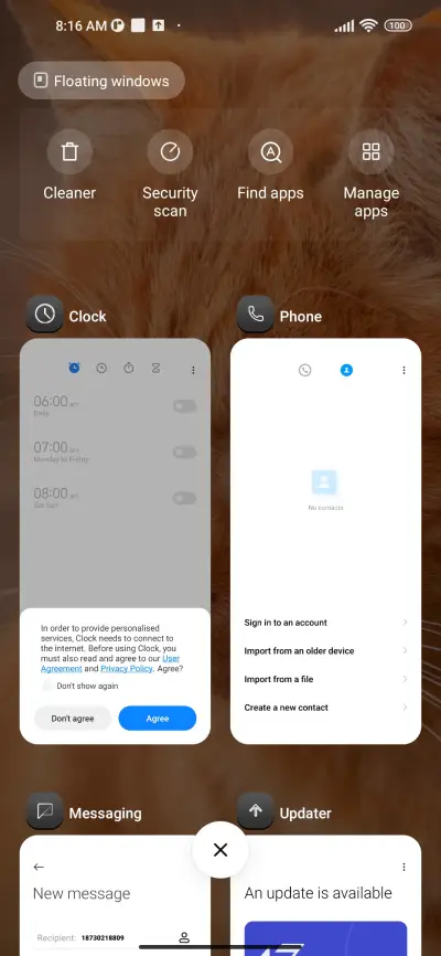Orange Cat - Screenshot 4