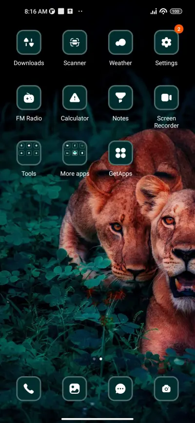 Lion Cubs - Screenshot 3