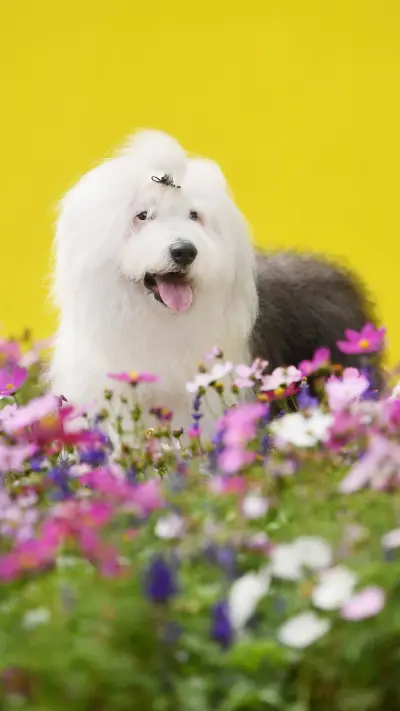 The Consequences of Intimate Behavior 8