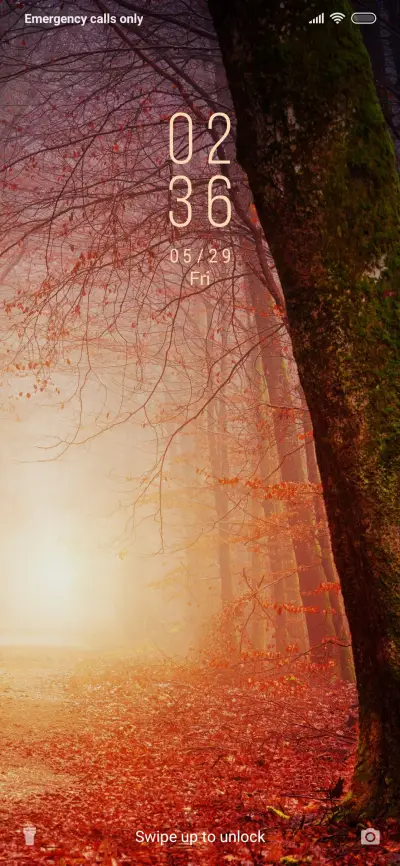 ForestDuringSunrise_3MDP - Screenshot 1