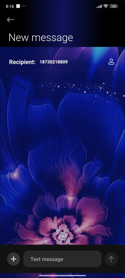 Splendid Flowers - Screenshot 8