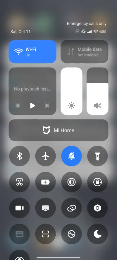 Pro Gray - Screenshot 5