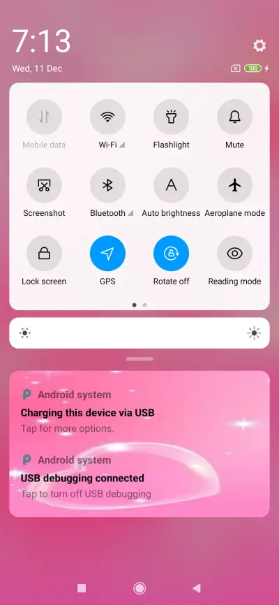 PL_DWM19 - Screenshot 5